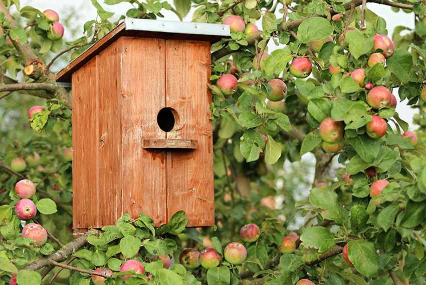 Hölzernes Vogelhäuschen